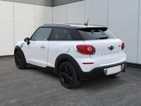 MINI PACEMAN
